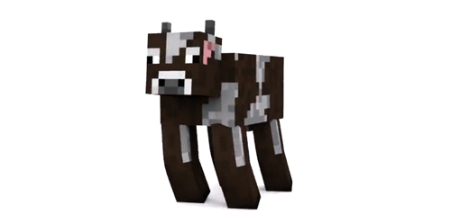 d a n c i n g  c o w
